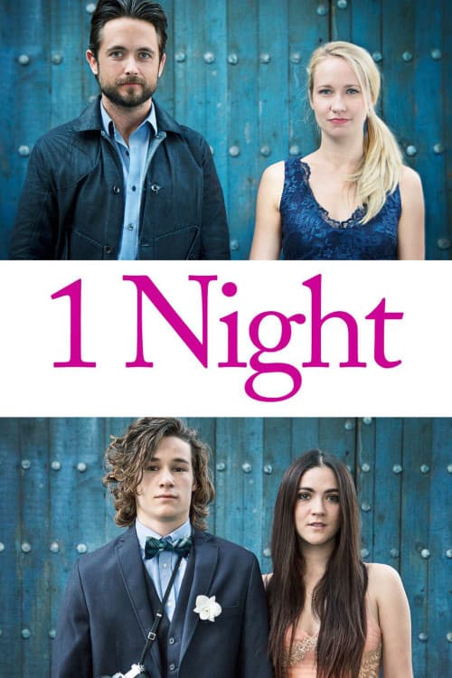 1 Night download