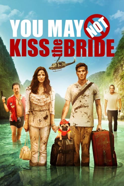 You May Not Kiss the Bride download
