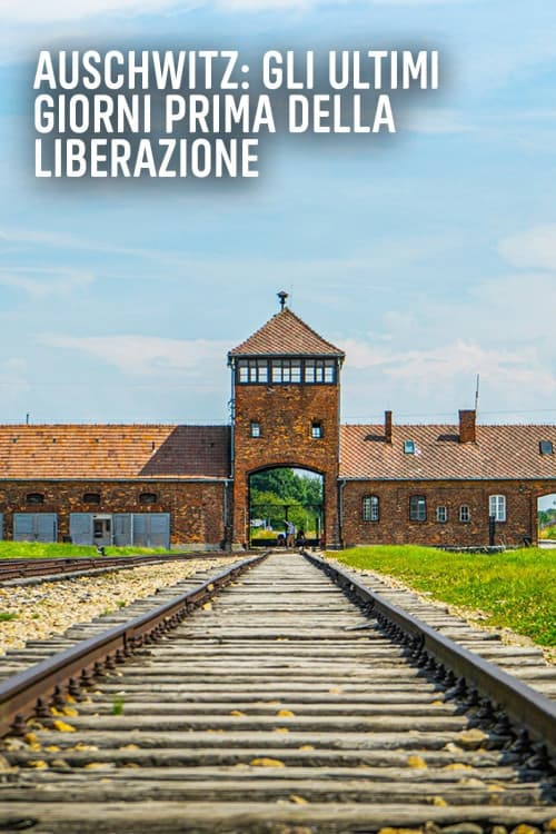 Auschwitz: Countdown to Liberation download
