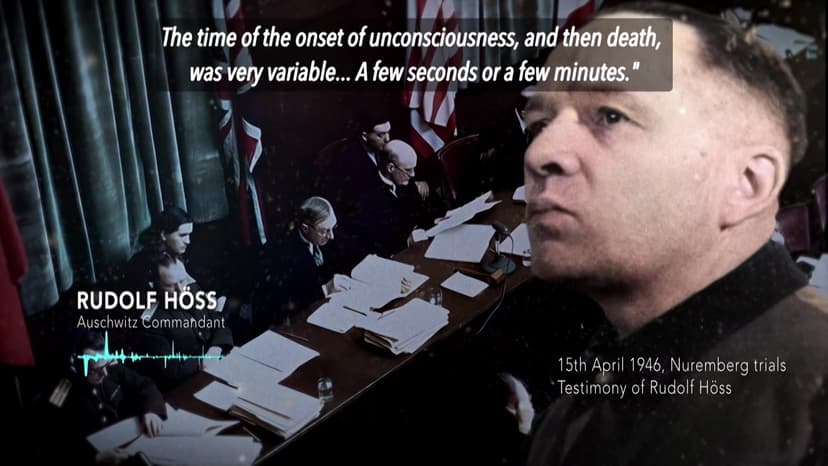Auschwitz: Countdown to Liberation