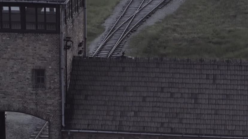 Auschwitz: Countdown to Liberation