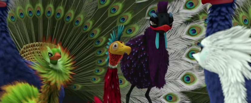 Birds Like Us