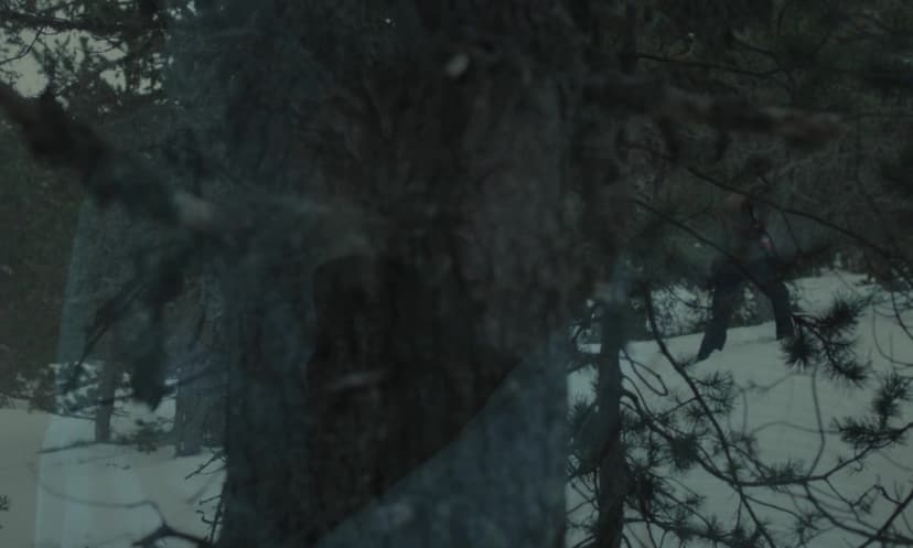 Black Snow