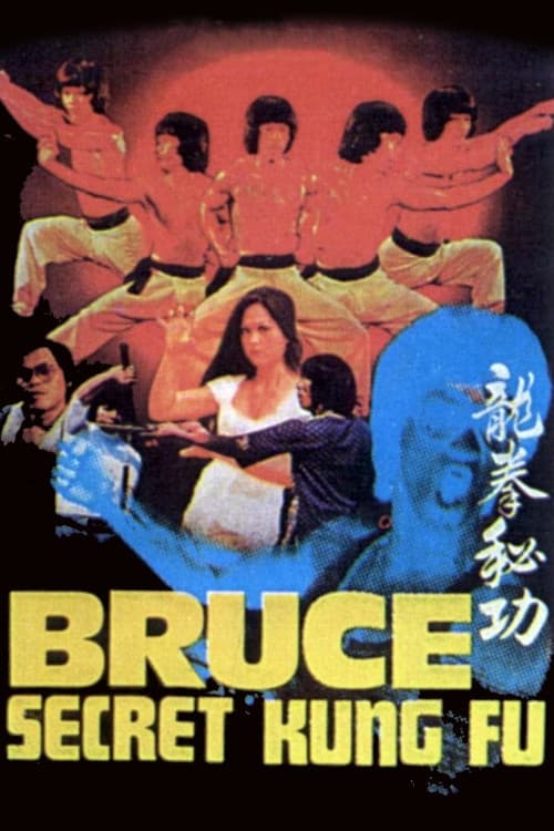 Bruce's Secret Kung Fu download