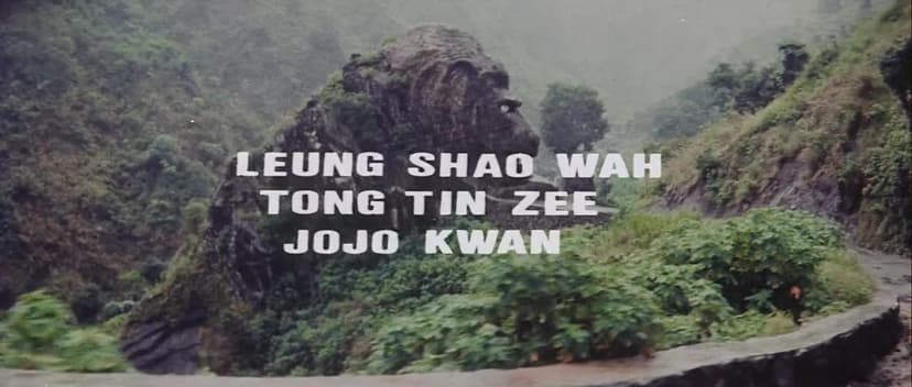 Bruce's Secret Kung Fu