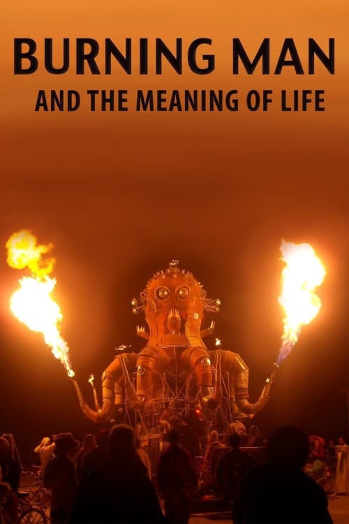 Burning Man and the Meaning of Life download