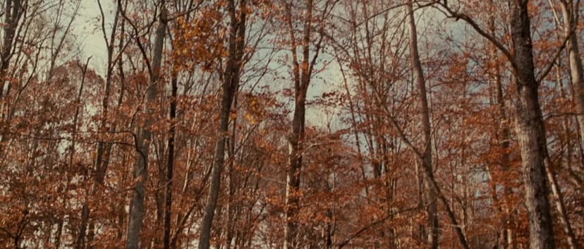 Cabin Fever 2: Spring Fever