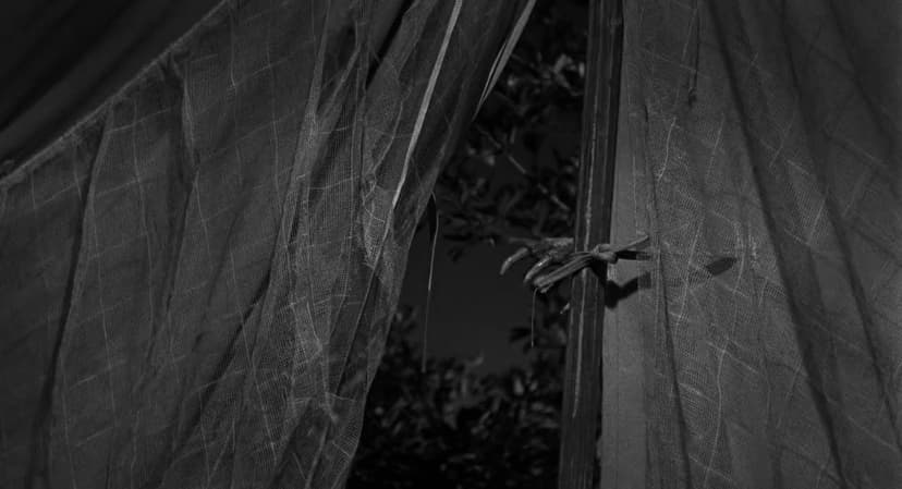 Creature from the Black Lagoon
