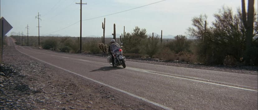 Electra Glide in Blue