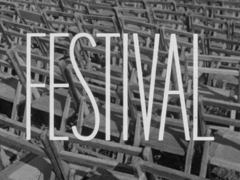 Festival