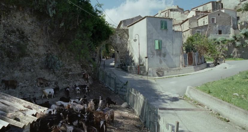 Le Quattro Volte
