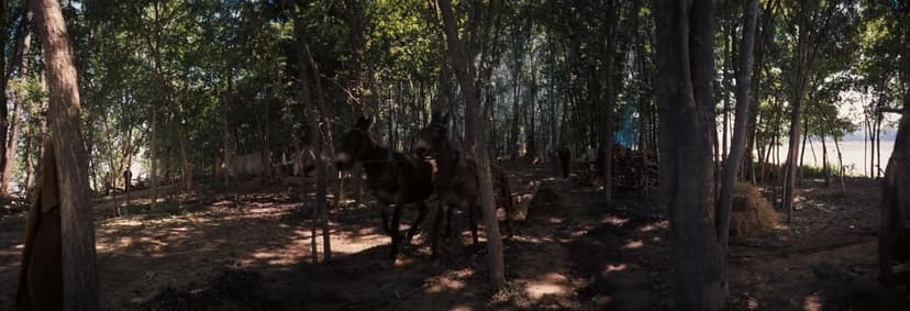 How the West Was Won