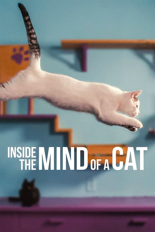 Inside the Mind of a Cat download