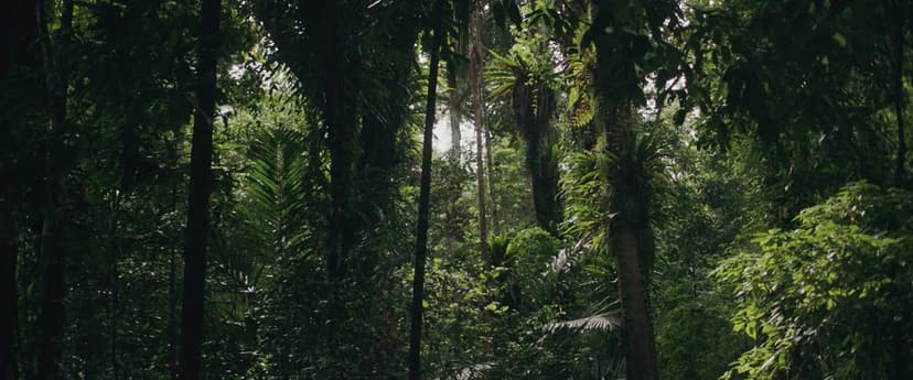 Island of the Hungry Ghosts