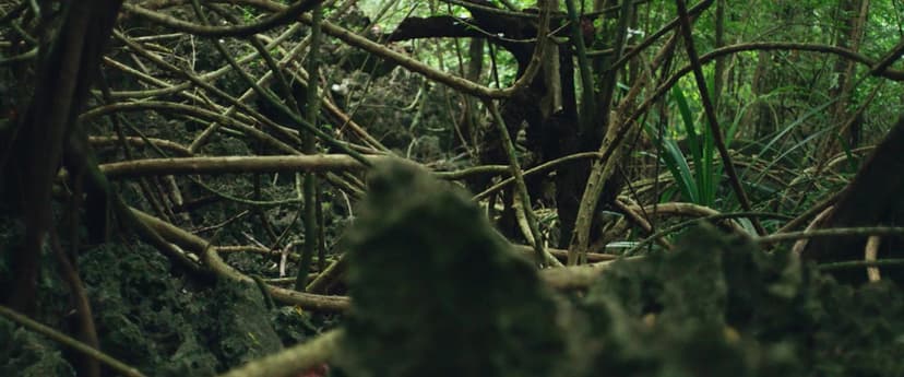 Island of the Hungry Ghosts