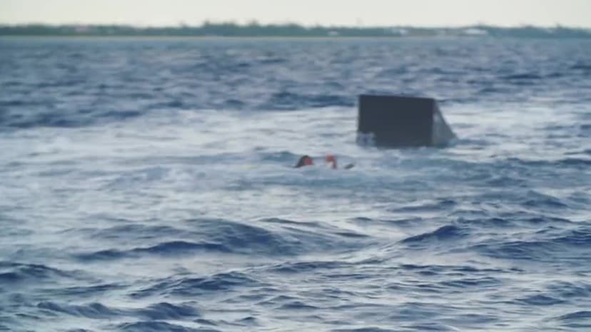 Jackass Shark Week 2.0