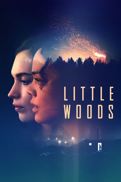 Little Woods download