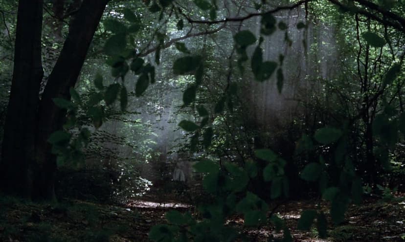 Monty Python and the Holy Grail