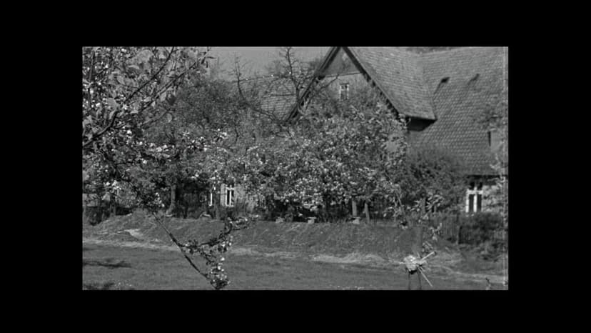 Night Will Fall