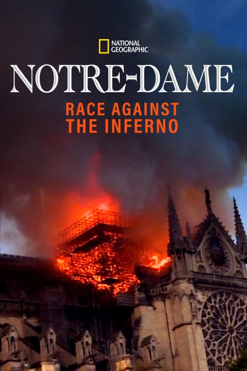 Notre-Dame: Race Against the Inferno download