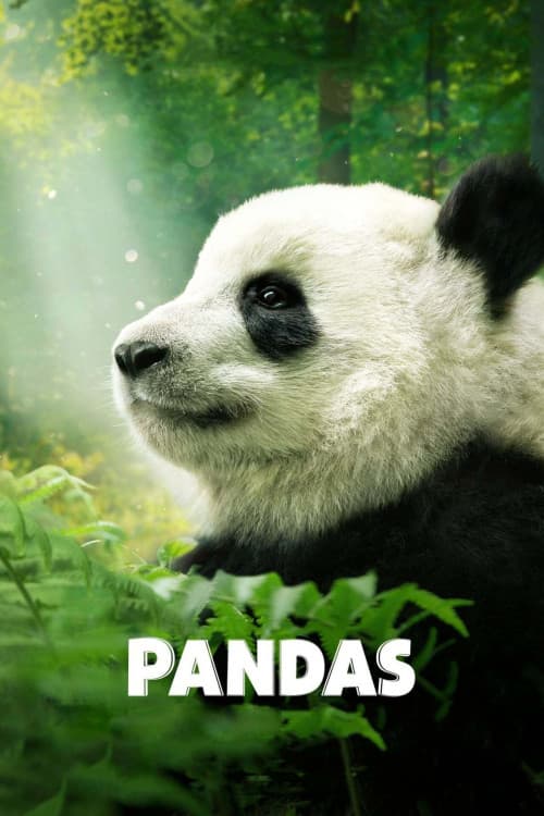 Pandas download