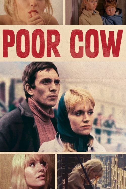 Poor Cow download