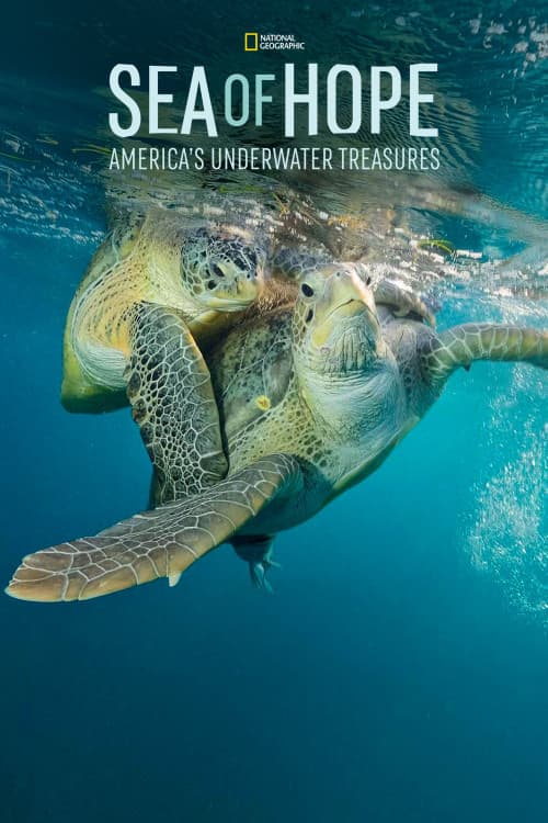 Sea of Hope: America's Underwater Treasures download