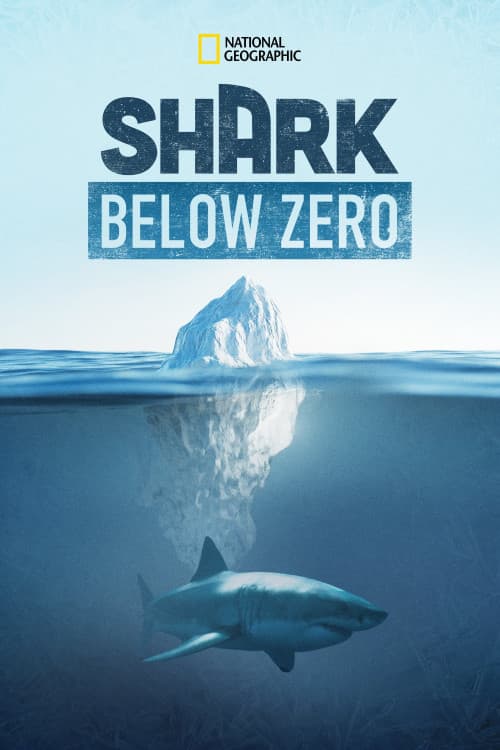 Shark Below Zero download