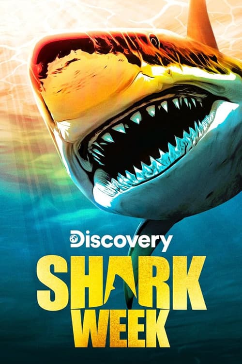 Shark Week Pig vs. Shark download