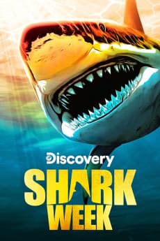 Shark Week Pig vs. Shark