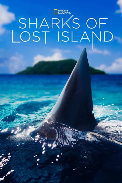 Sharks of Lost Island download