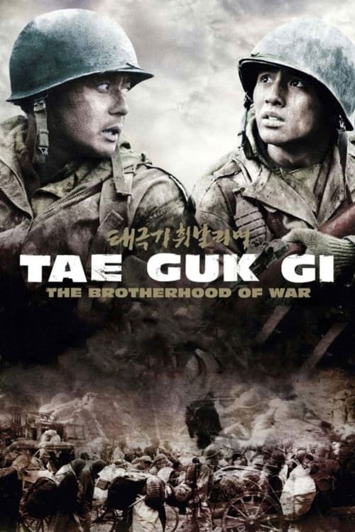 Tae Guk Gi: The Brotherhood of War download