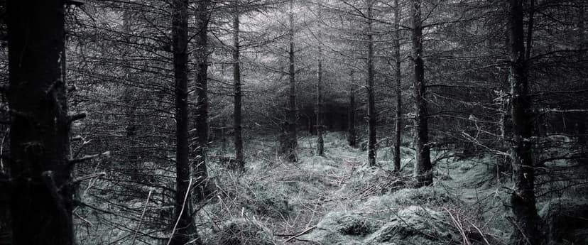 Tales from Black Manor