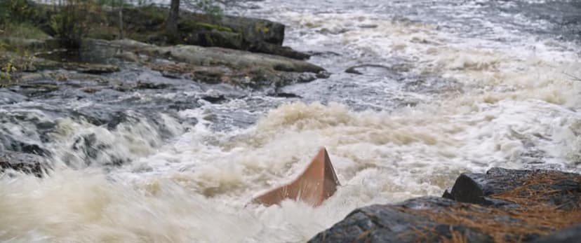 The Breach