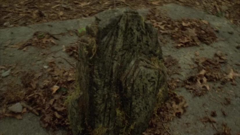 The Dead Matter