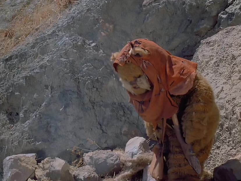 The Ewok Adventure