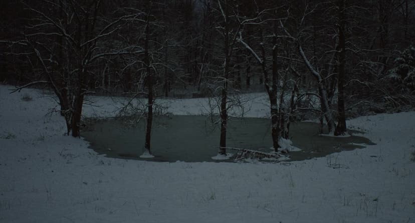 The Human Hibernation