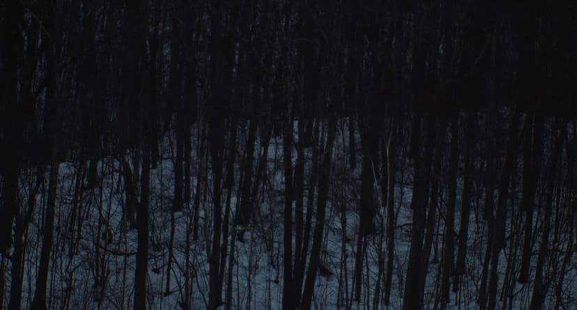 The Human Hibernation