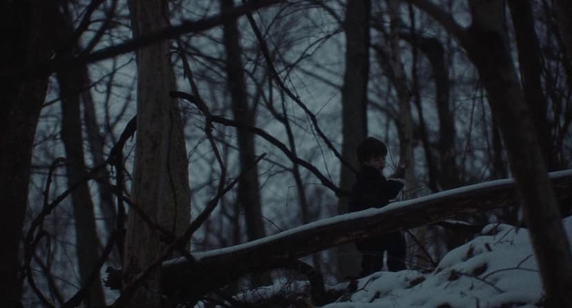 The Human Hibernation