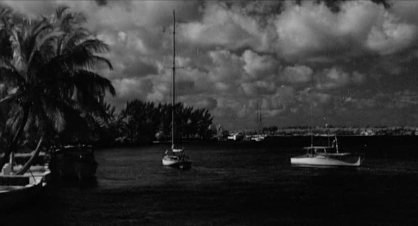 The Miami Story
