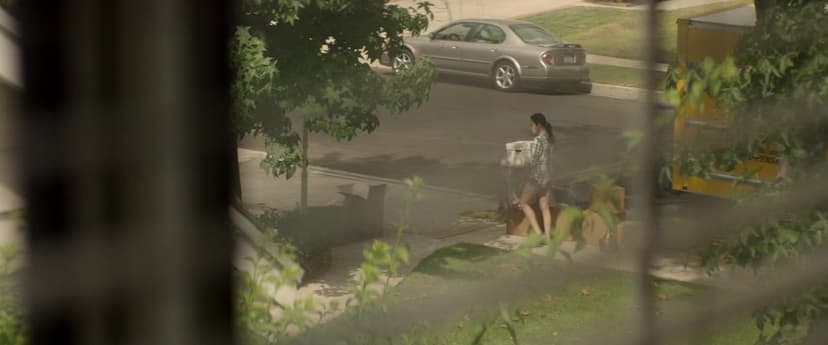 The Neighbor