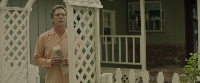 The Neighbor