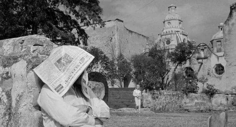 The Night of the Iguana