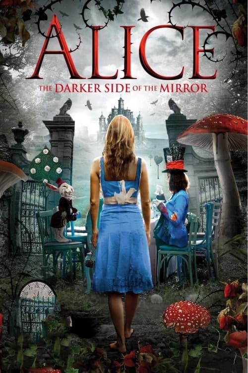The Other Side of the Mirror download