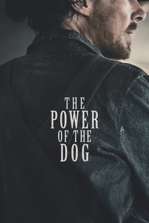 The Power of the Dog download