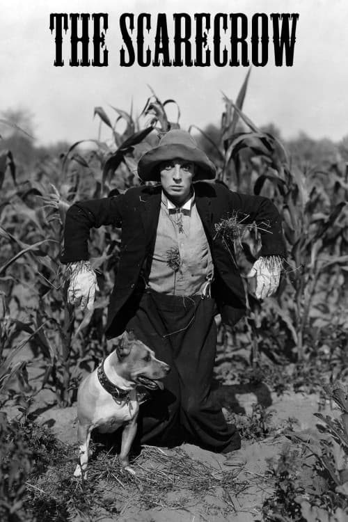 The Scarecrow download