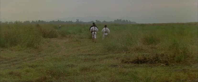 The Shaolin Avengers