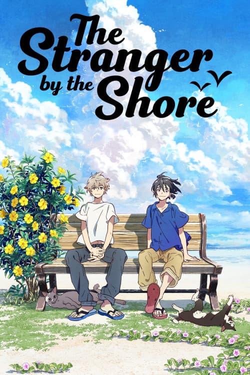 The Stranger by the Beach download