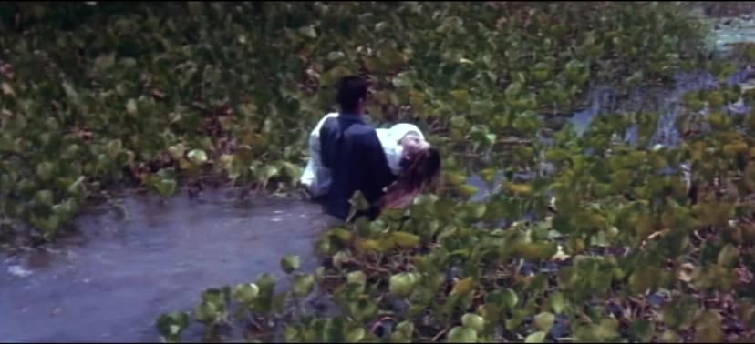 The Swamp of the Ravens