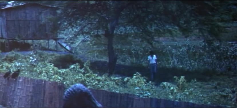 The Swamp of the Ravens